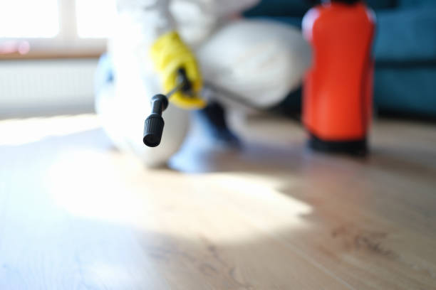 Professional Mold Removal in Seaford, DE